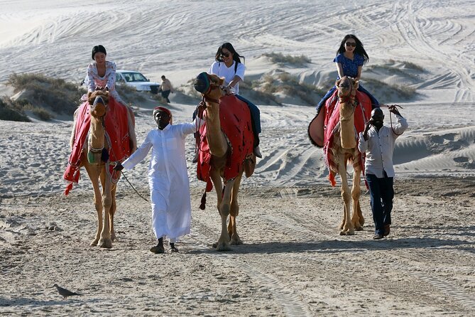 Private 4 Hours Desert Safari Tour in Doha - The Sum Up