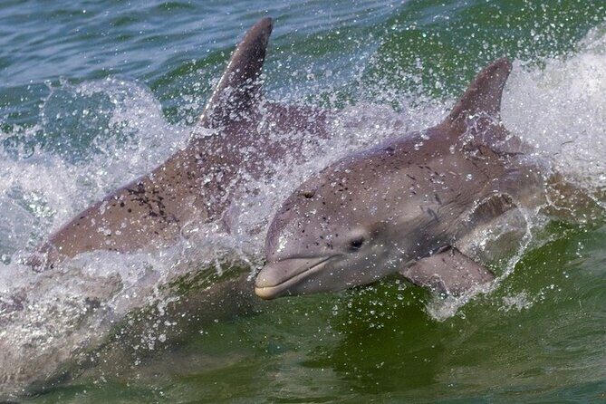 Private 4 Hours Islamorada Sandbar Charter - FAQs