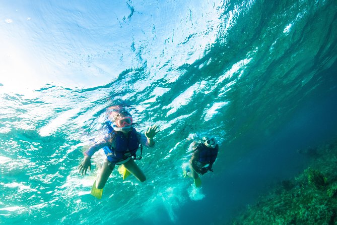 Private 4-Hr Island Escape Tour in Turks and Caicos - Chartering and Customization