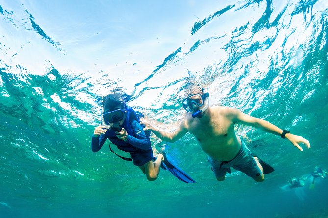 Private 4-Hr Island Escape Tour in Turks and Caicos - Water Activities and Enjoyment