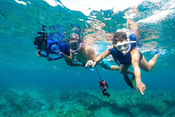 Private 4-Hr Island Escape Tour in Turks and Caicos - Traveler Reviews and Ratings