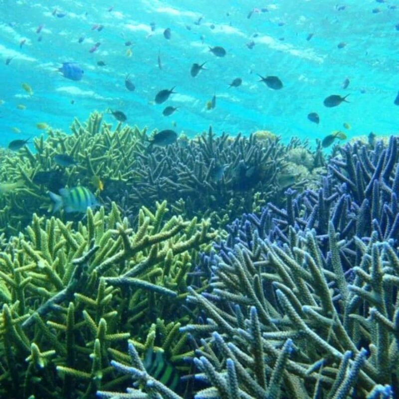 Private 4-Island Tour: Gili Kondo, Petagan, Bidara by Boat - The Sum Up: Who Will Love This Tour?