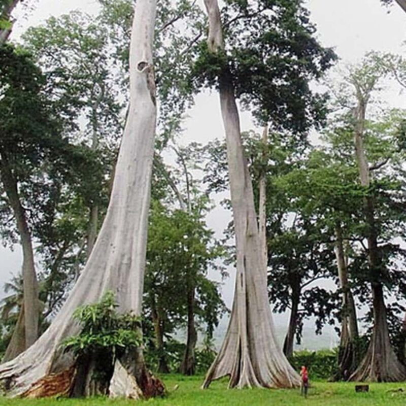 Private 4-Island Tour: Gili Kondo, Petagan, Bidara by Boat - The Sum Up: Is This Tour Right for You?