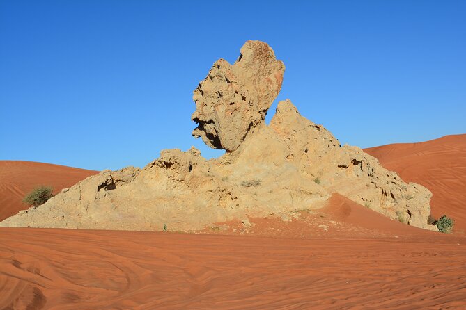Private 4x4 Desert Drive, Wadi Shawaka Pool Visit With Lunch Box - Inclusions