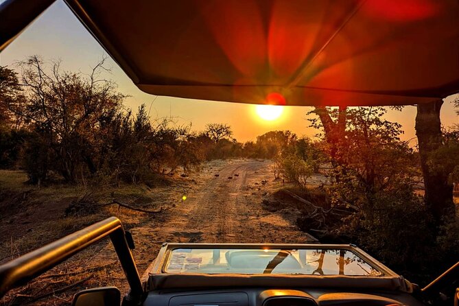 Private 4x4 Drive in the African Bush by Night - Pickup Details