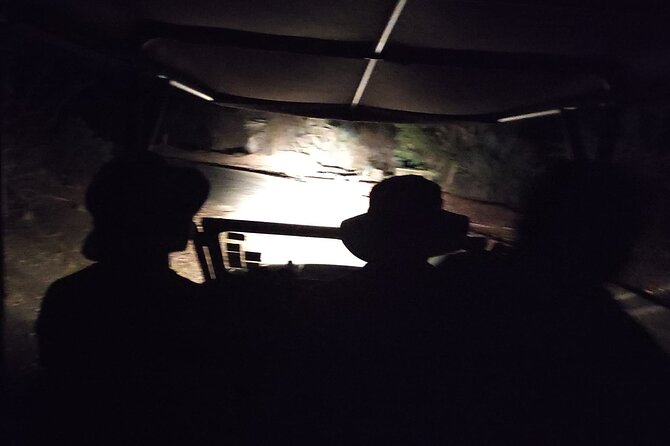 Private 4x4 Drive in the African Bush by Night - Additional Information