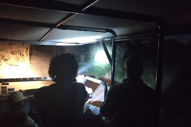 Private 4x4 Drive in the African Bush by Night - Booking Information