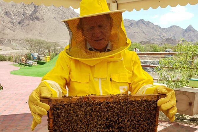 Private 4x4 Hatta Safari to Fossil Rock & Honey Bee Garden Visit - Visa Requirements for Hatta Visit