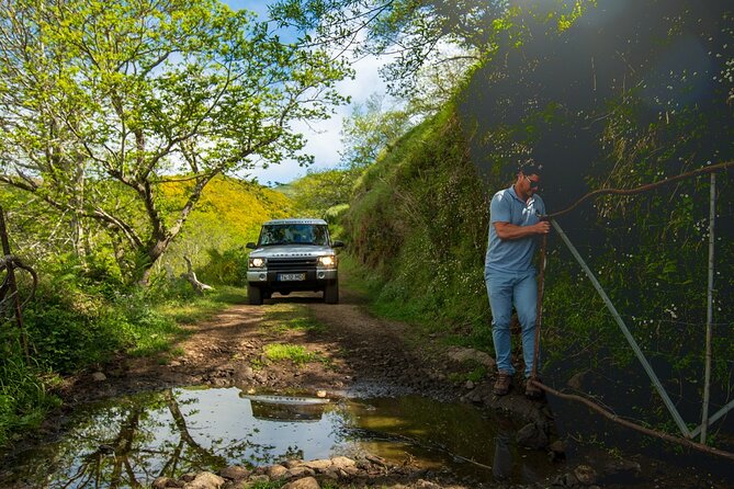 Private 4x4 Jeep Half Day - Picturesque Peaks, Vineyards, Skywalk - Tour Highlights