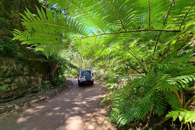 Private 4x4 Jeep Half Day - Picturesque Peaks, Vineyards, Skywalk - Questions and Assistance