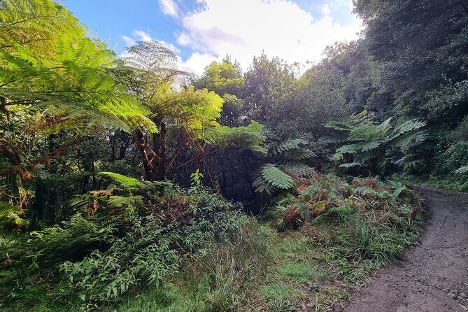 Private 4x4 Jeep Half-Day Tour - "Jurassic Park" - Practical Tips for Your Adventure