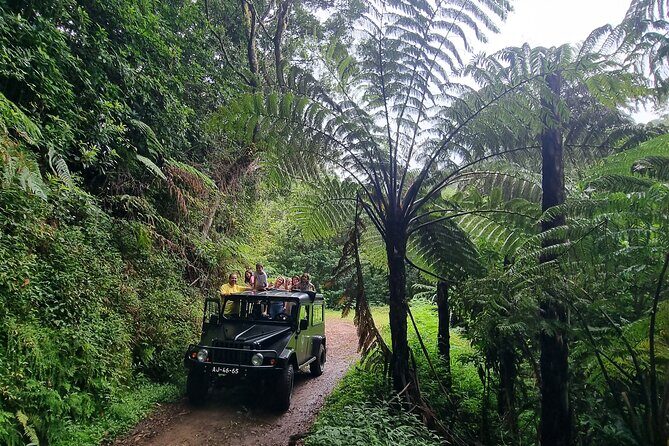 Private 4x4 Jeep Half-Day Tour - "Jurassic Park" - The Sum Up