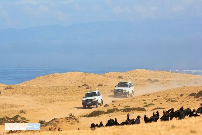 Private 4x4 Jeep Tour Atlanic Sahara and Ocean With Berber Lunch - Tour Inclusions