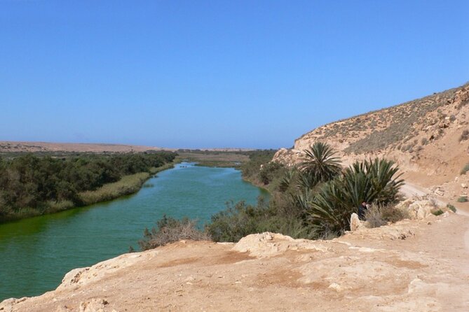 Private 4x4 Jeep Tour Atlanic Sahara and Ocean With Berber Lunch - Pricing Details