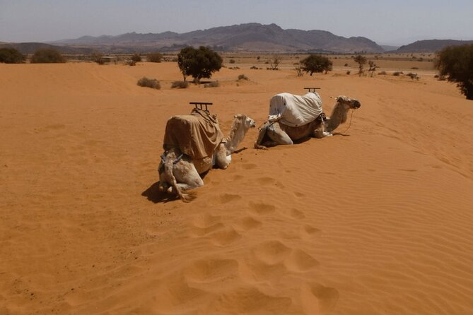 Private 4x4 Jeep Tour Atlanic Sahara and Ocean With Berber Lunch - Directions and Location