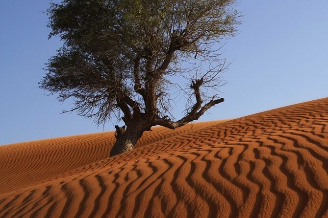 Private 4x4 Mleiha Dubai Trekking Experience With Museum Visit - Pricing and Group Size