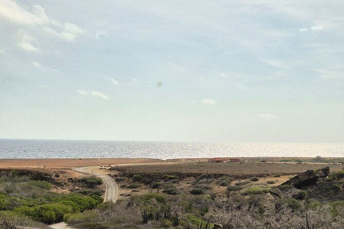 Private 4x4 Natural Pool, Caves & Baby Beach by Cross Aruba Tours - Who Will Love This Tour?