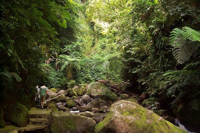 Private 4x4 Off-Road Island Visit Mountains Way ( Price for 1-10 People) - Tips and Recommendations