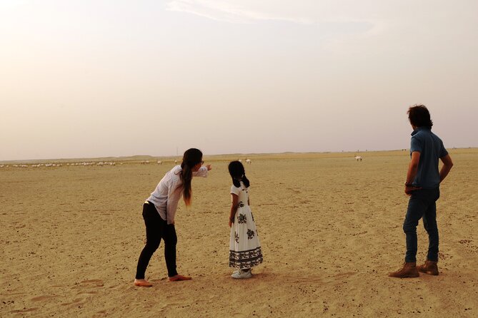 Private 4x4 Sunset Desert Drive With Wildlife Experience - Exploring Dubais Most Beautiful Areas