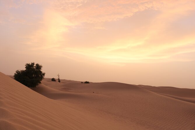 Private 4x4 Sunset Desert Drive With Wildlife Experience - Hassle-Free Hotel Pickup and Drop-Off