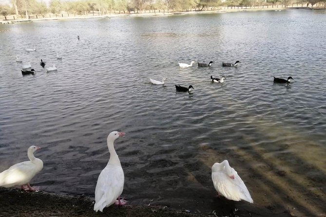 Private 4x4 Sunset Desert Drive With Wildlife Experience - Cancellation Policy and Refund Details