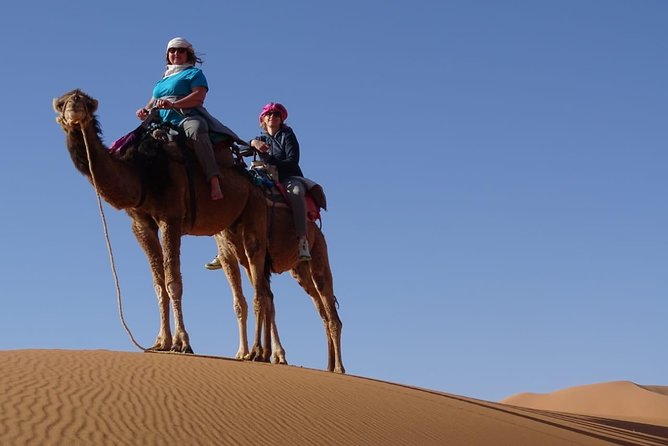Private 4x4 Tour of Marrakesh-Ait Ben Haddou-Zagoura - Traveler Photos