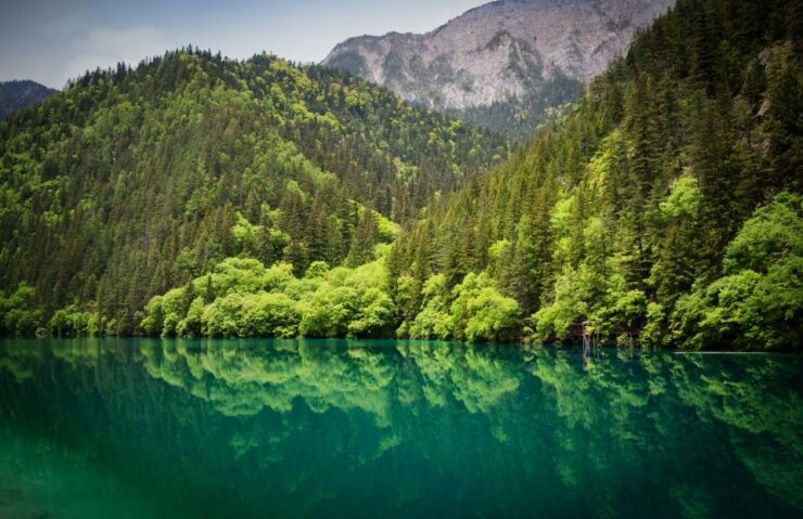 Private 5-Day Amazing Trip: Chengdu and Jiuzhaigou - Good To Know