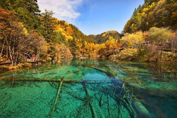Private 5-Day Amazing Trip: Chengdu and Jiuzhaigou - Day 02 - Chengdu Exploration
