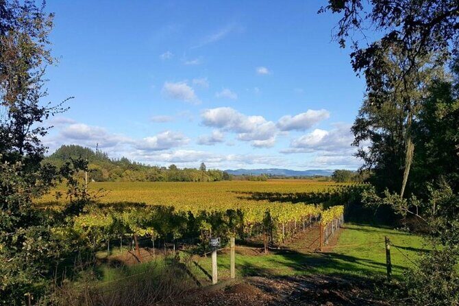 Private 5 day California Vineyards, Waves and Wine Tour - Who Is This Tour Best For?