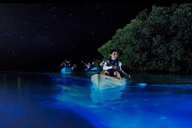 Private 5 day California Vineyards, Waves and Wine Tour - Final Thoughts