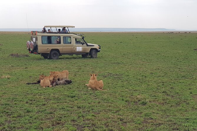 Private 5 Day Maasai Mara With Lake Nakuru and Lake Naivasha Tour - Booking Information