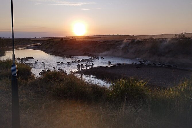 Private 5 Day Maasai Mara With Lake Nakuru and Lake Naivasha Tour - The Sum Up