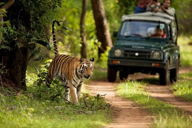 Private 5-Day Ranthambhore Tiger Tour From Delhi With Taj Mahal, Agra and Jaipur - Itinerary Highlights