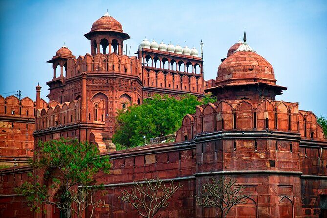 Private 5-Day Tour from Delhi: Ranthambhore Tigers, Agra & Jaipur - Who Will Love This Tour?