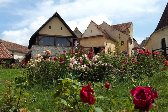 Private 5-Day Tour in Transylvania From Bucharest Hotel Pick-Up and Drop off - Highlighted Attractions