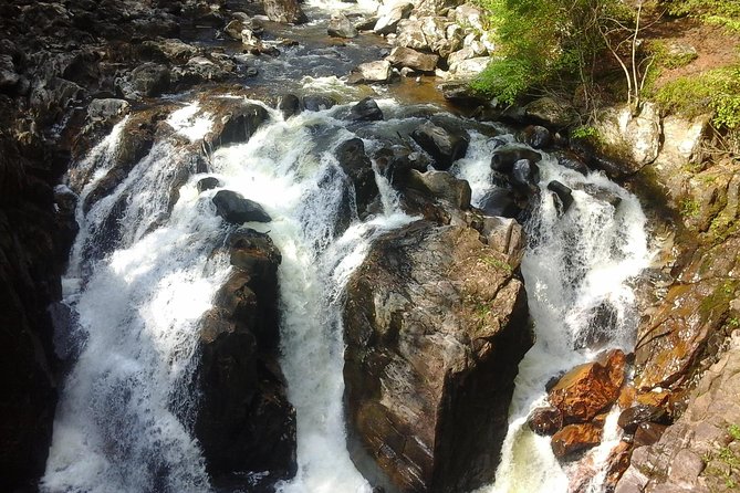 Private 5 Day Tour to the Highlands & Islands - Traveler Reviews