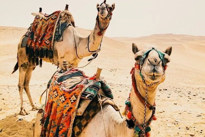 Private 5 Days Desert Tour From Marrakech - Itinerary Highlights