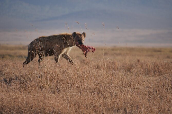 Private 5 Days Tanzania Safari - Booking Information