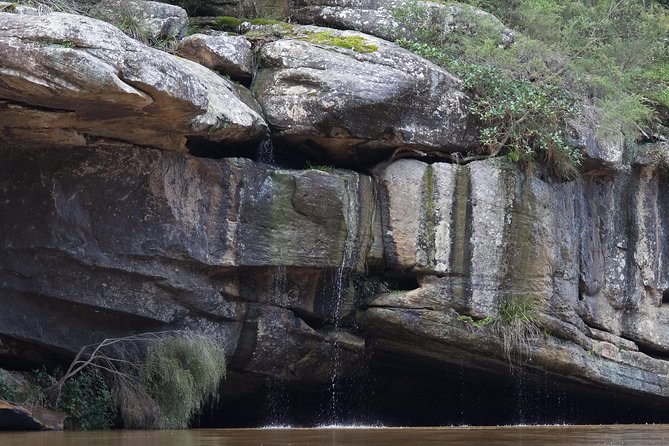 Private 5-Hour Kayaking Tour With Gourmet Lunch, Nepean Gorge  - Sydney - Important Information and Requirements