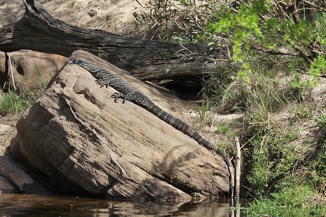 Private 5-Hour Kayaking Tour With Gourmet Lunch, Nepean Gorge  - Sydney - The Sum Up