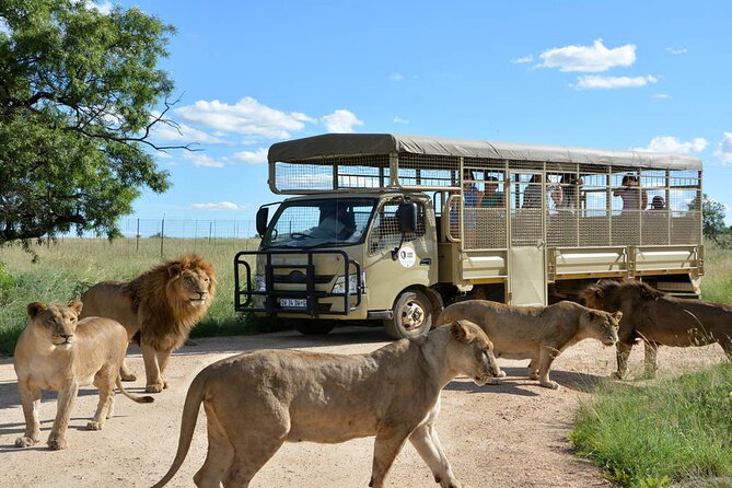 Private 5-Hour Lion Park Tour From Johannesburg or Pretoria - Tour Details