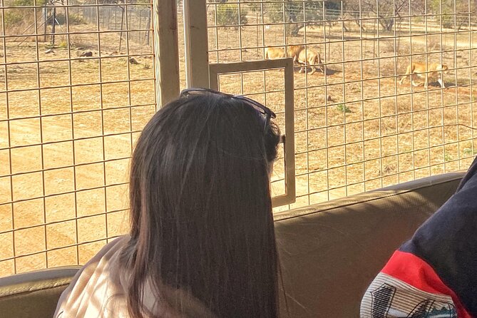 Private 5-Hour Lion Park Tour From Johannesburg or Pretoria - Reviews and Questions