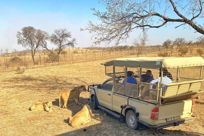 Private 5-Hour Lion Park Tour From Johannesburg or Pretoria - The Sum Up