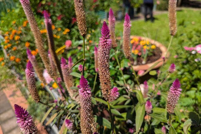 Private 5-Hour Sightseeing Tour in Tropical Gardens - Final Verdict