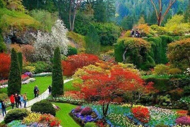 Private 5 Hour Tour of Butchart and Butterfly Gardens - Who Should Consider This Tour?