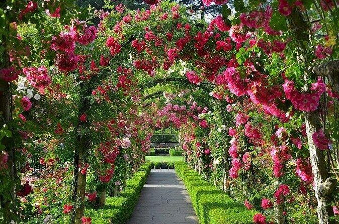 Private 5 Hour Tour of Butchart and Butterfly Gardens - The Sum Up