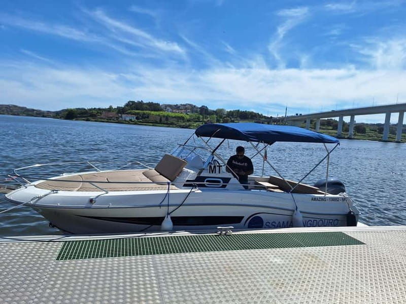 Private 6 Bridges Cruise in Porto with Optional Sunset - Good To Know