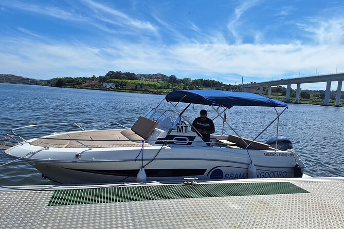 Private 6 Bridges Cruise With Tapas and Port Wine - Location and Meeting Point