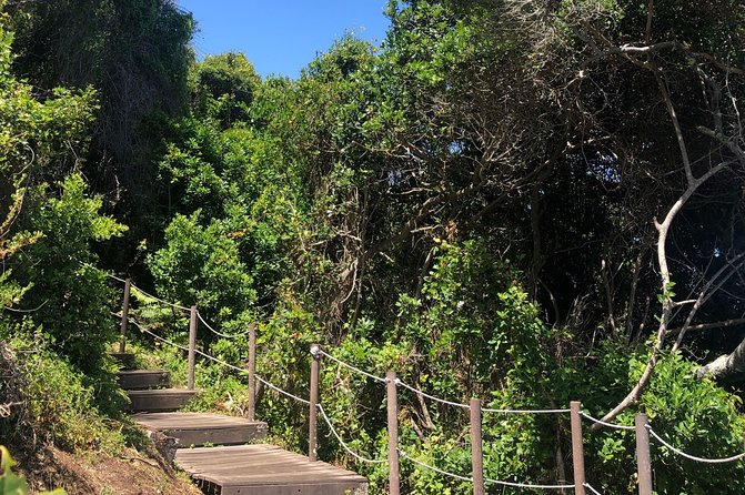 Private 6-Day Garden Route Tour From Cape Town - Popular Stops Included