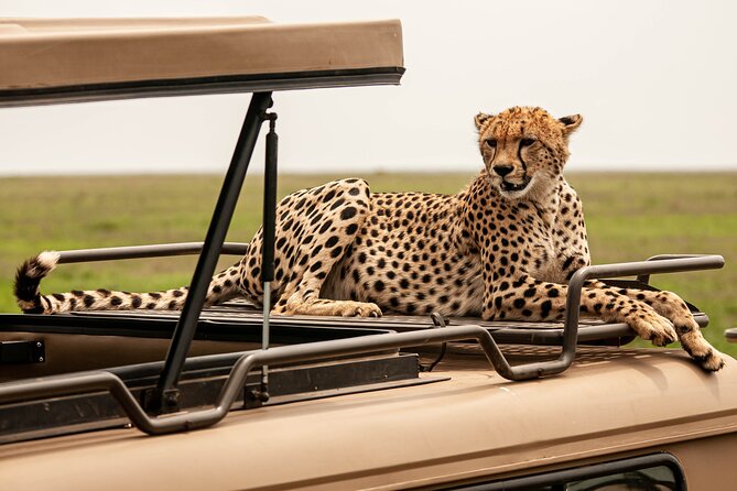 Private 6-Day Safari Tour in the Parks of Northern Tanzania - Accommodation Details